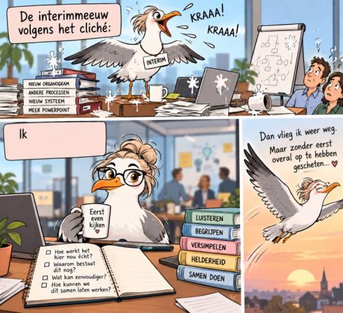 Cartoon over de interimmeeuw: van luidruchtig veranderen naar eerst luisteren, begrijpen en vereenvoudigen