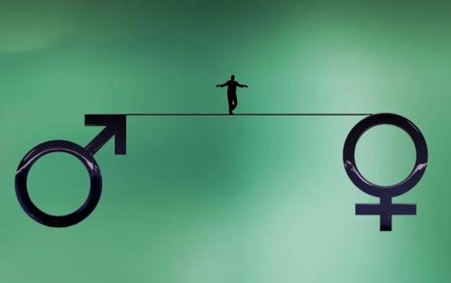 Afbeelding over Er zijn maar twee geslachten
